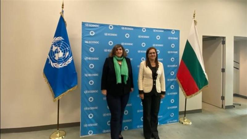 وزيرة التخطيط تبحث سبل التعاون مع المجلس الاقتصادي والاجتماعي بالأمم المتحدة