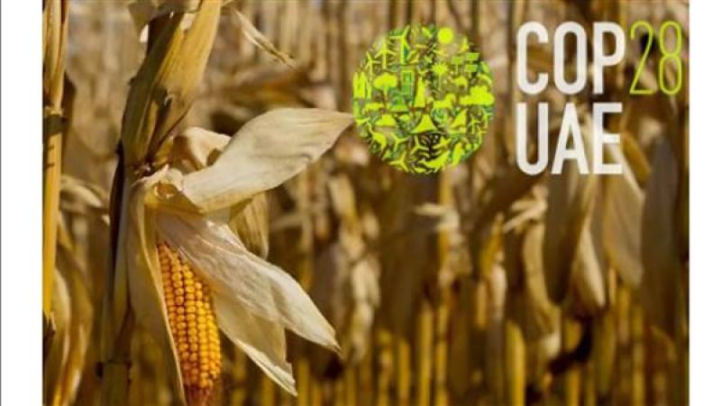 مؤتمر COP28 يجمع 7.1 مليار دولار لتطوير النظم الغذائية