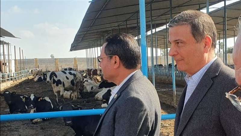 البنك الزراعي المصري: قروض ميسرة لتمويل صغار المربين والمزارعين ضمن مبادرة «إحلم»