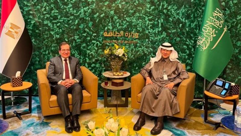 وزيرا البترول المصري والسعودي يبحثان سبل تعزيز مشروعات التعاون المشترك