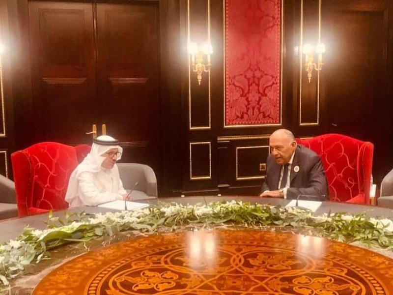 وزير الخارجية سامح شكري يلتقي وزير الخارجية البحريني خلال أعمال مجلس وزراء الخارجية العرب في المنامة