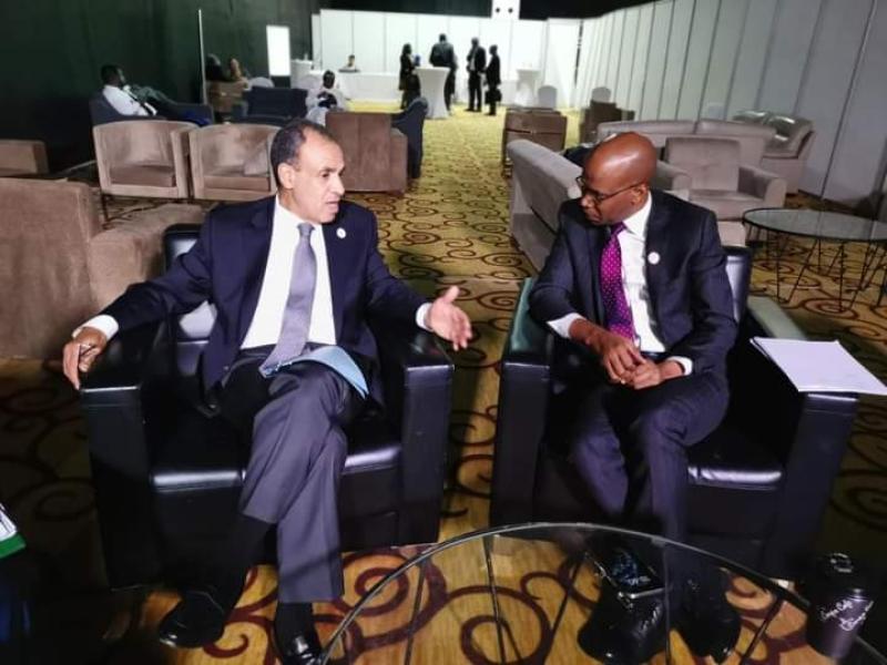 وزير الخارجية يعقد اجتماع ثنائي مع نظيره التنزاني