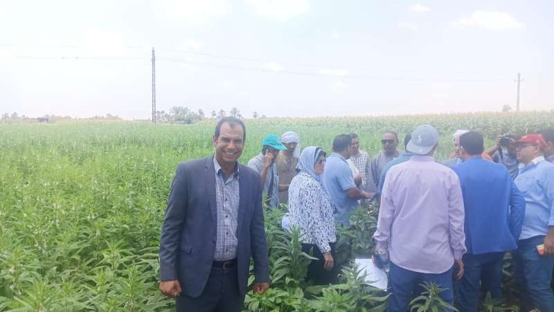 الزراعة:البحوث الزراعية تتابع الحقول الإرشادية والمحاصيل الصيفية والمراكز الإرشادية بمحافظة الفيوم