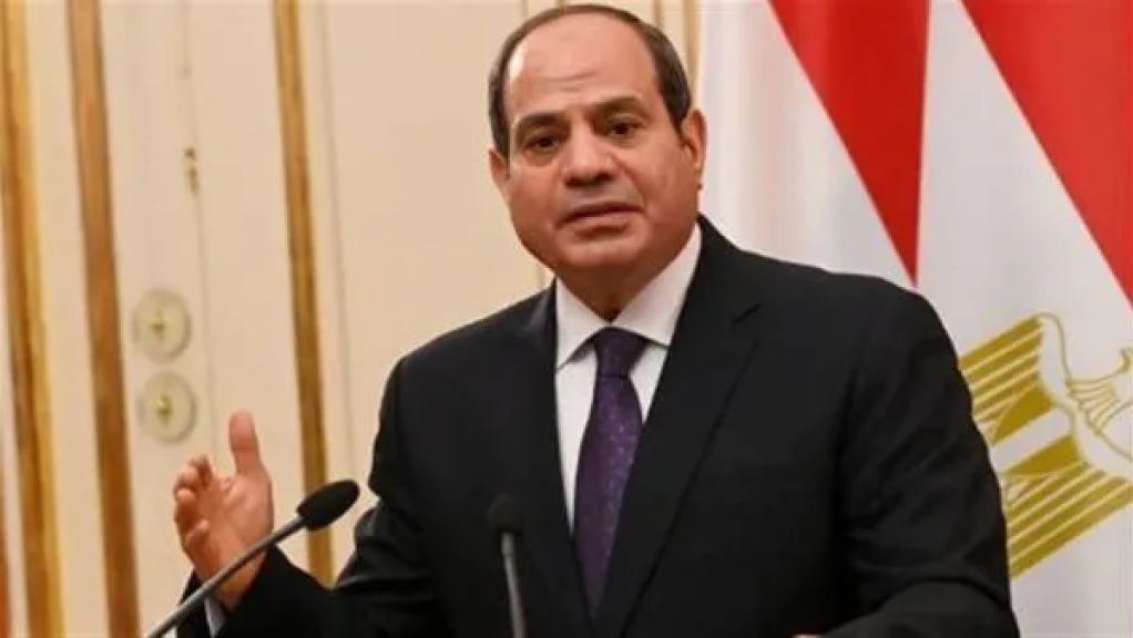 الرئيس السيسي يبحث مع مؤسسة التمويل الدولية تعزيز التدفقات الاستثمارية لمصر