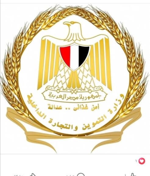وزارة التموين تنفي صدور قرار بصرف الخبز المدعم ورقيًا