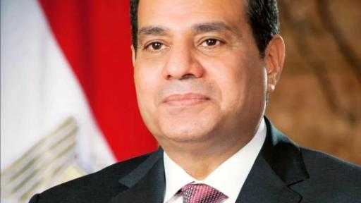 كلمة الرئيس عبدالفتاح السيسي بخصوص الإجراءات القانونية في مخالفات الإنتخابات
