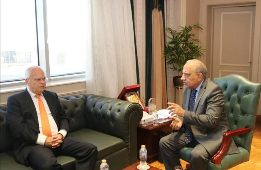وزير الكهرباء والطاقة المتجددة يبحث مع  سفير السويد بالقاهرة ووفدًا من شركة”Linxon” السويديةسبل التعاون