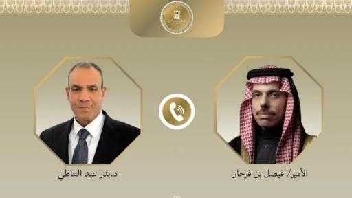 وزير الخارجية ونظيره السعودي يتابعان التطورات في قطاع غزة