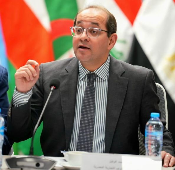 وزير المالية:القطاع الخاص المصري والعربي يستطيع إحداث نقلة كبيرة في اقتصادات المنطقة.