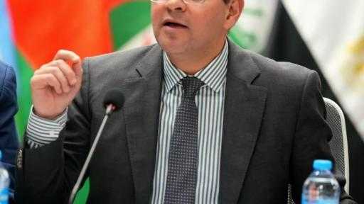 وزير المالية:القطاع الخاص المصري والعربي يستطيع إحداث نقلة كبيرة في اقتصادات المنطقة.