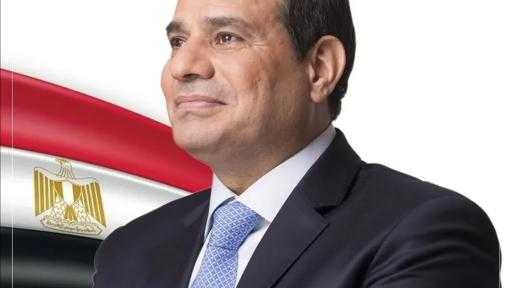 الرئيس ااسيسي الدولة المصرية تولي ثقة كبيرة في كفاءة الدكتورة ياسمين فؤاد للتصدي لتحديات البيئية