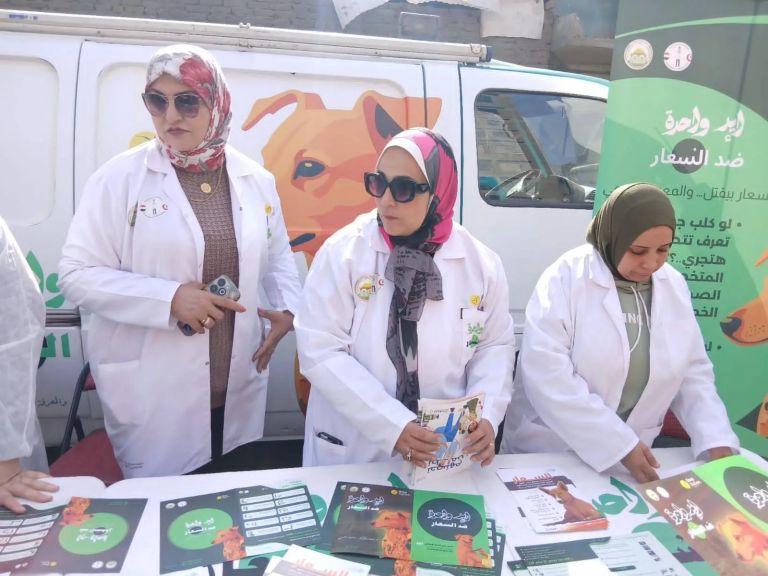 لزراعة” تطلق منظومة وقائية متكاملة لحماية الصحة العامة والثروة الحيوانية: حملة قومية استثنائية ضد ”الحمى القلاعية” غداً.. وتوسع في حملات تحصين وتعقيم ”كلاب الشوارع”