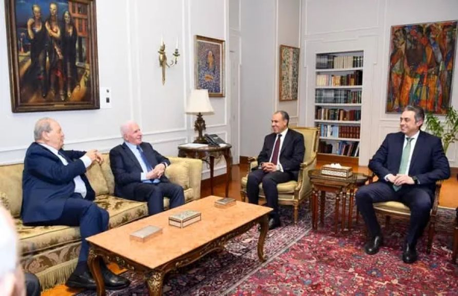 وزير الخارجية: مصر تؤكد دعمها الكامل للقضية الفلسطينية