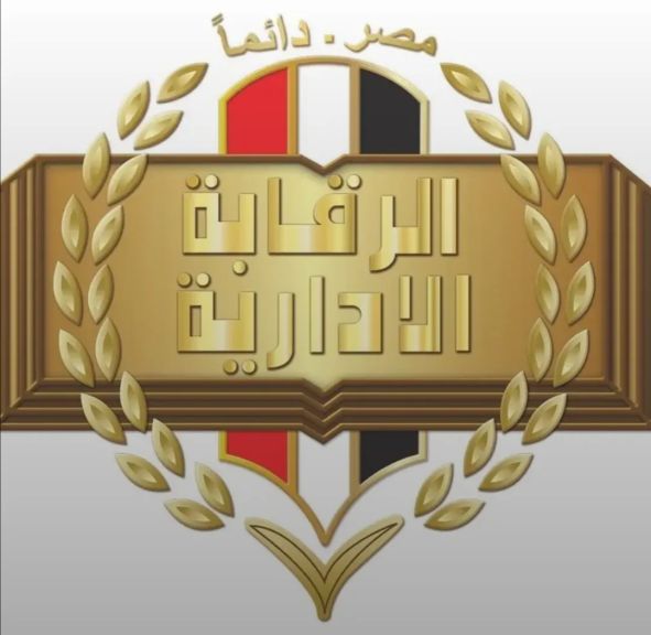 الحبس والغرامة لتشكيل إجرامي منظم عابر للحدود الوطنية سعى للاستيلاء على أموال إحدى الشركات المصرية