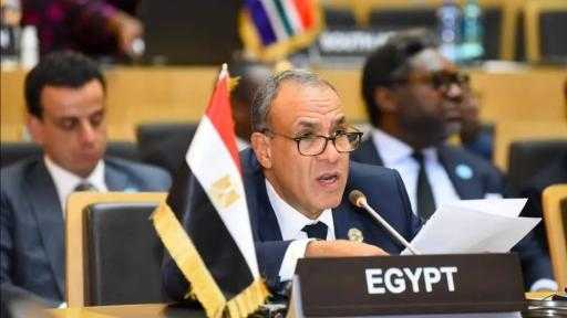 وزير الخارجية يستعرض التقرير السنوي لمجلس السلم والأمن أمام قمة الاتحاد الأفريقي