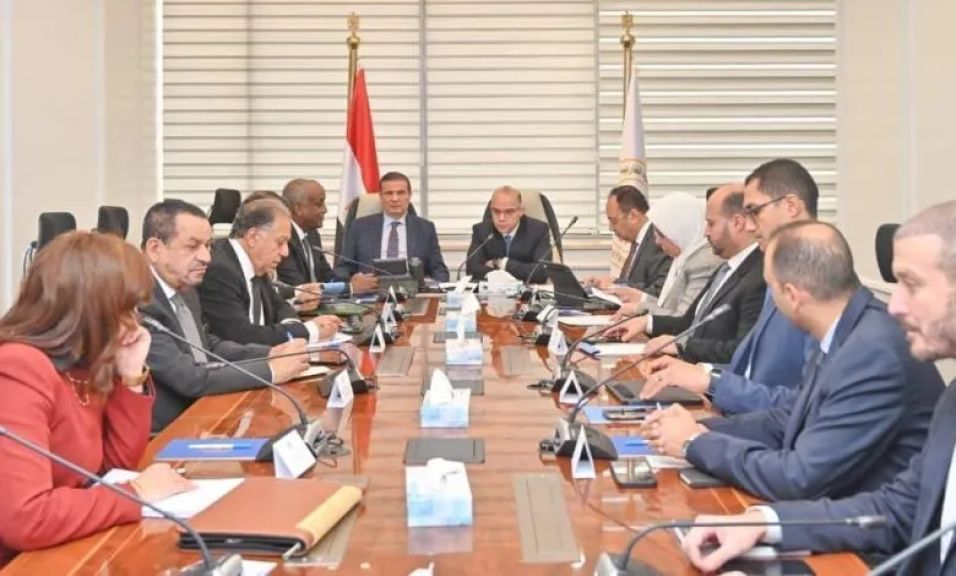 دراسة إنشاء كيان استثماري لدعم الشركات المصرية بالقارة الأفريقية