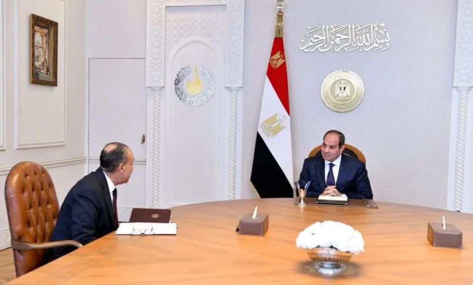 السيسي يطلع على نتائج الجولة العربية لوزير الخارجية