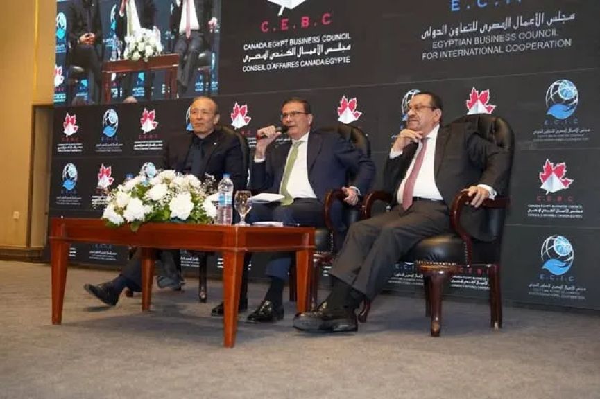 وزير الزراعة: استنباط وتسجيل 17 صنفاً جديداً عالية الإنتاجية من المحاصيل الاستراتيجية في 2025