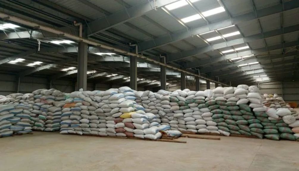 البنك الزراعي المصري يُنهي استعداداته لاستقبال موسم توريد القمح 2026