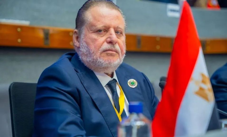 تعيين حسن عبدالله محافظ البنك المركزي محافظًا لمصر لدى صندوق النقد الدولي.. ووزير المالية محافظًا مناوبًا