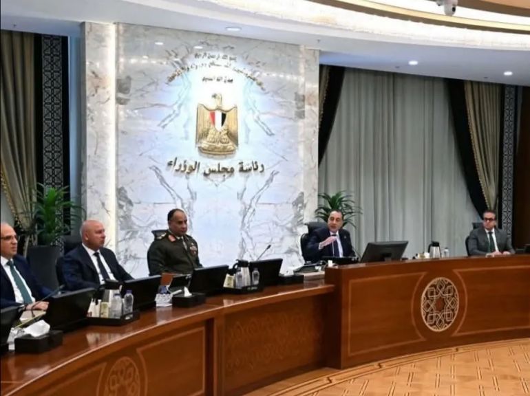 تأسيس شركة ”أركو سيدز” لإنتاج تقاوي الخضر والفاكهة محاليا