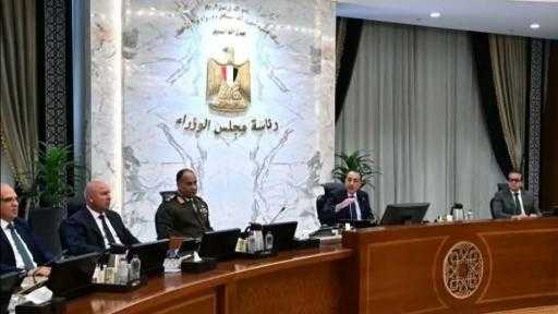 تأسيس شركة ”أركو سيدز” لإنتاج تقاوي الخضر والفاكهة محاليا