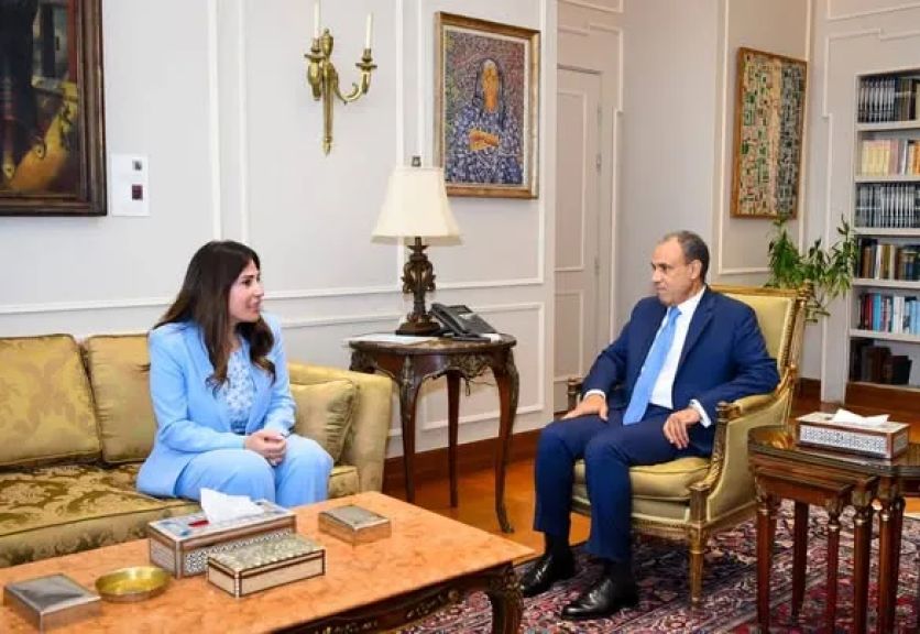 “عبد العاطي والمنشاوي” يبحثان تطوير مبادرة «بيتك في مصر» لتملك المصريين بالخارج وحدات سكنية