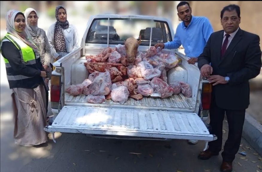بيطري الأقصر :تحصين 273 ألف رأس ماشية و302 ألف طائر وضبط6أطنان لحوم وأسماك مخالفة