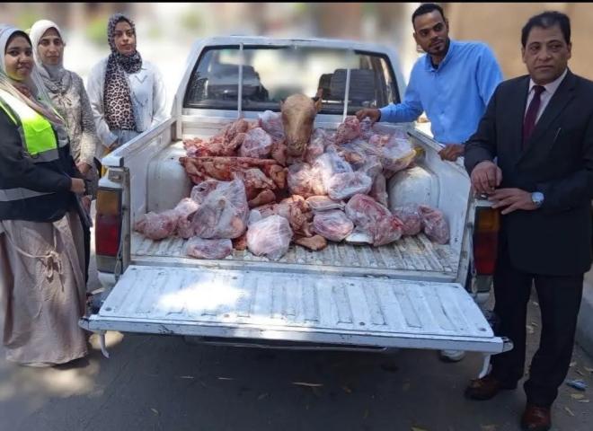بيطري الأقصر :تحصين 273 ألف رأس ماشية و302 ألف طائر وضبط6أطنان لحوم وأسماك مخالفة
