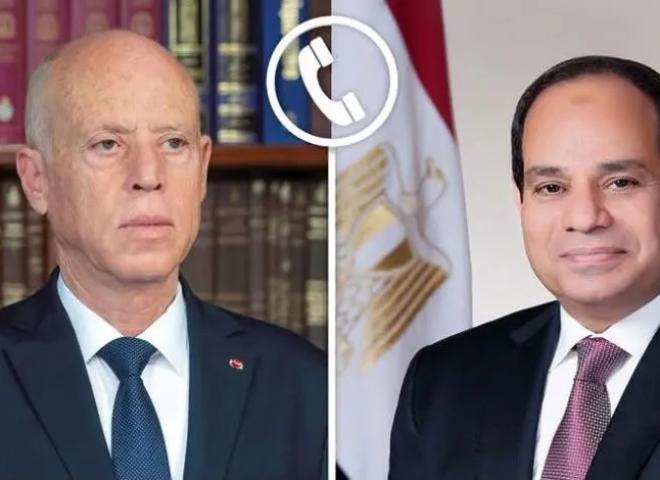 السيسي يبحث مع نظيره التونسي تعزيز العلاقات الثنائية وتطورات الأوضاع الإقليمية