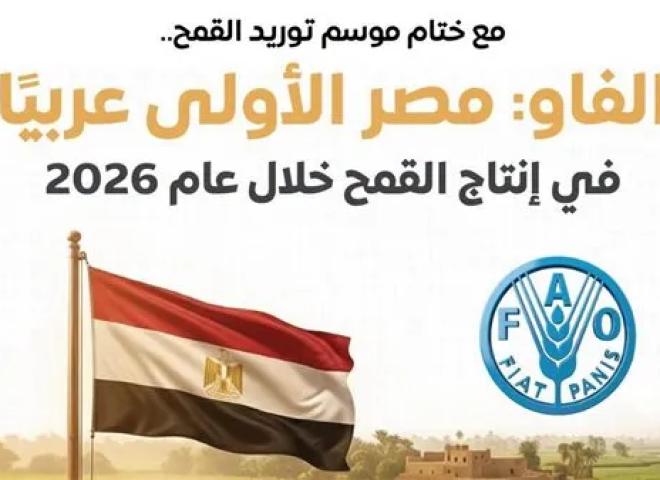 مجلس الوزراء: مصر الأولى عربيًا في إنتاج القمح خلال عام 2026 وفقًا لـ ”الفاو”