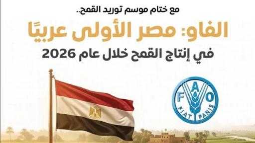 مجلس الوزراء: مصر الأولى عربيًا في إنتاج القمح خلال عام 2026 وفقًا لـ ”الفاو”