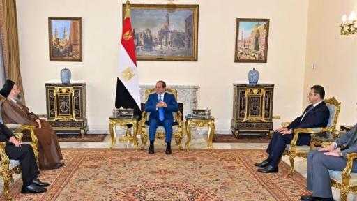السيسي يستقبل عمار الحكيم لبحث تطورات المنطقة والأوضاع في العراق والقضية الفلسطينية