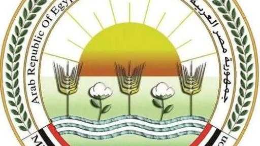 «الزراعة» ترفع درجة الاستعداد للموسم الشتوي وتكثف توفير التقاوي والأسمدة