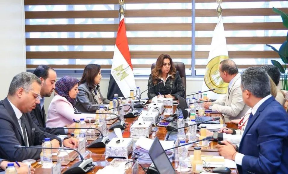 وزيرة التنمية المحلية تتابع تنفيذ مشروعات التنمية الاقتصادية بـ4 محافظات بالصعيد وتوجه بسرعة دخولها الخدمة
